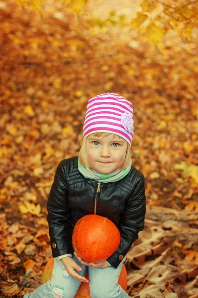 Fetiță drăguță în parc de toamnă cu dovleac în jurul frunzelor de toamnă . — Fotografie, imagine de stoc