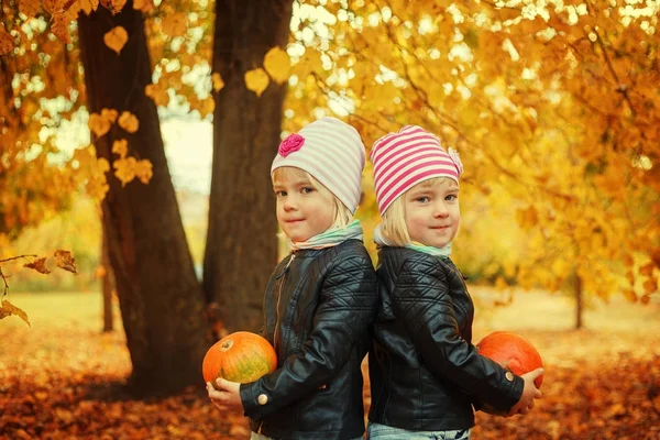 Küçük kabak sonbahar park ellerinde tutan portre ikiz kız. — Stok fotoğraf