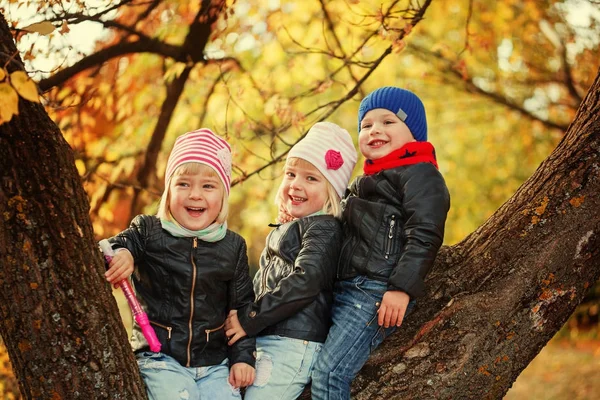 Pequenas crianças sorridentes sentadas na árvore no parque de outono . — Fotografia de Stock