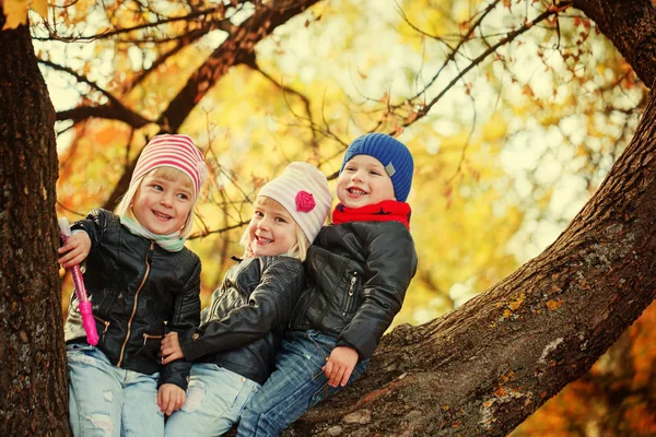 Sonbahar Park ağaç üzerinde oturan küçük gülümseyen çocuklar.