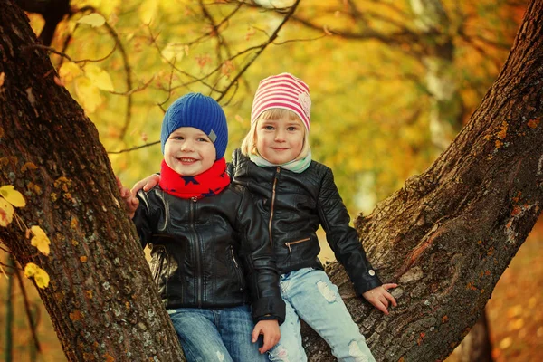 Sonbahar Park ağaç üzerinde oturan küçük gülümseyen çocuklar.