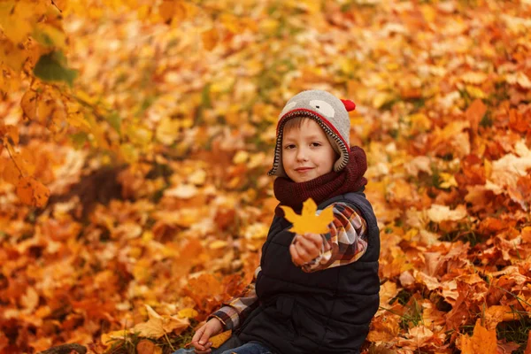 Cute little boy infunny hat and warm scarf at golden autumn in park. — Stock Photo, Image