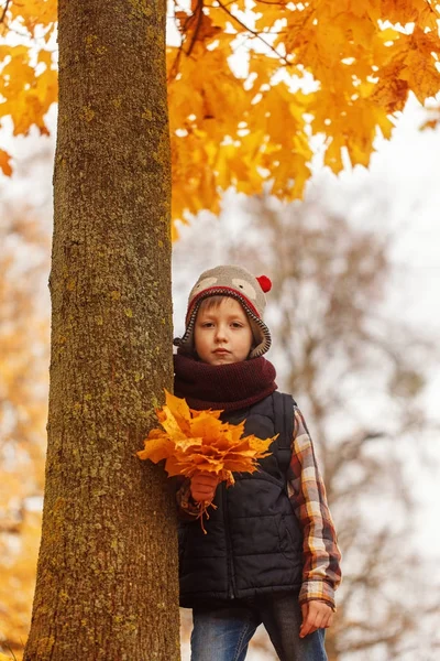Portrait Cute boy in the autumn park. — Stock Photo, Image