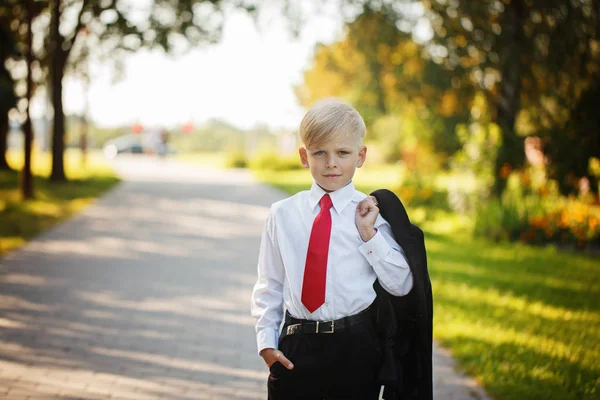 Niño pequeño con traje de negocios y corbata roja en el fondo de la naturaleza —  Fotos de Stock