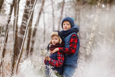Walr kış ormandaki iki kardeş. Birlikte oynayan arkadaşlarım