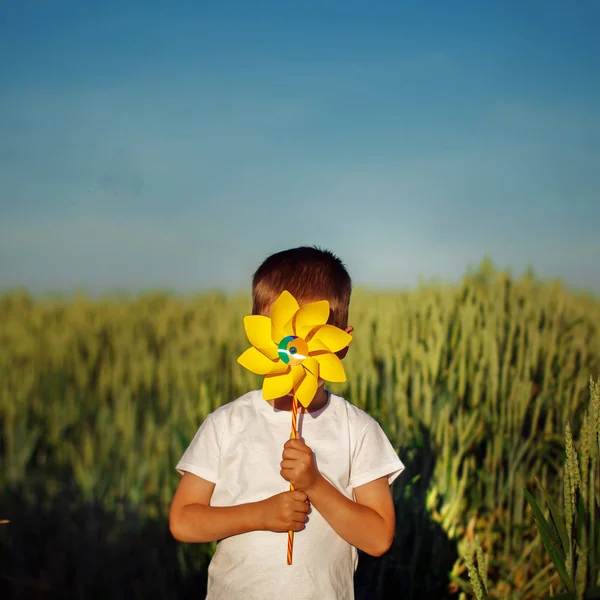 Little Boy Holding Yellow Pinwheel Green Field Blue Sky Background — Stock Photo, Image