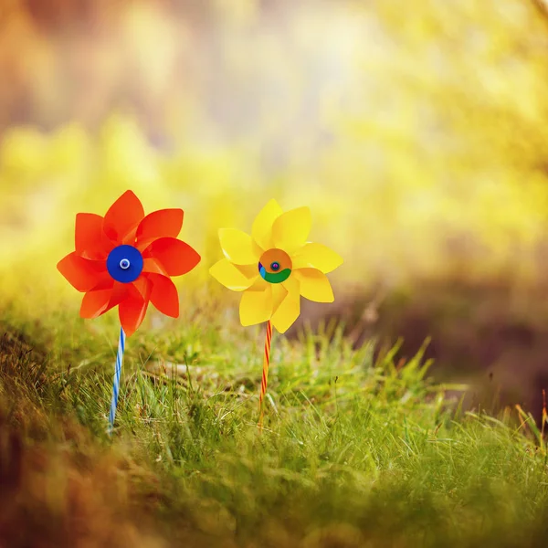 Twee oranje en gele pinwheels tegen de achtergrond van de natuur in de zon — Stockfoto