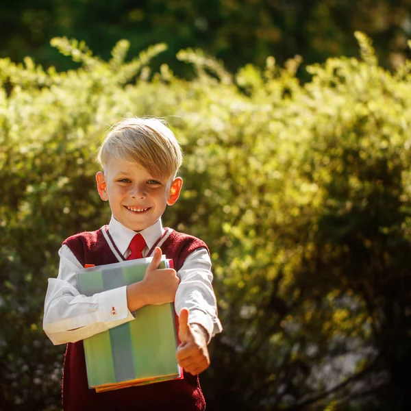 Little boy going back to school. Child with backpack and books o — Stock Photo, Image