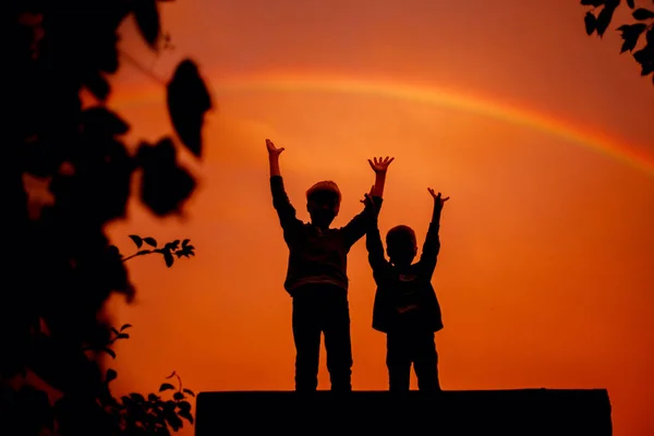 Deux frères les mains en l'air sous l'arc-en-ciel au coucher du soleil en été . — Photo
