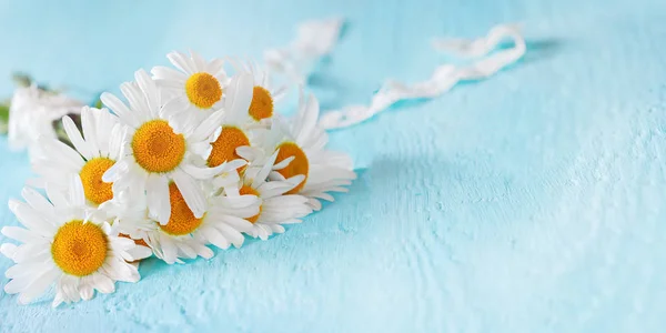 Bouquet de marguerites sur fond bleu — Photo