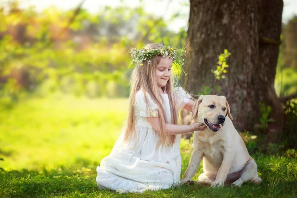 Cute little girl hugs a big dog in summer park — Stock Photo, Image
