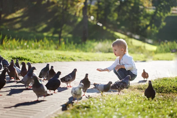 Lindo niño alimenta a las palomas en la calle en el soleado día de verano . — Foto de Stock