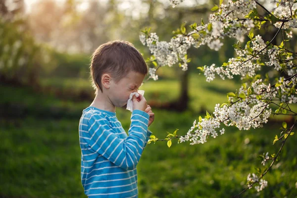 Conceito Alergia Menino Está Soprando Nariz Perto Flores Florescentes — Fotografia de Stock