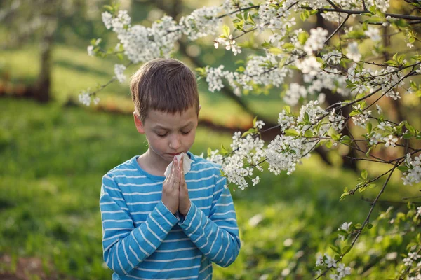 Allergy Concept Little Boy Blowing His Nose Blossoming Flowers — Stock Photo, Image