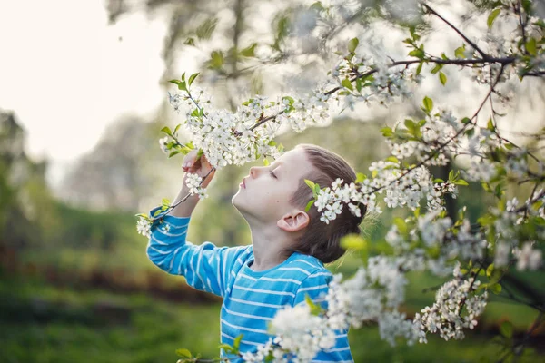 Sevimli Küçük Çocuk Bir Bahar Parkta Çiçek Açan Çiçekler Dolanıyor — Stok fotoğraf