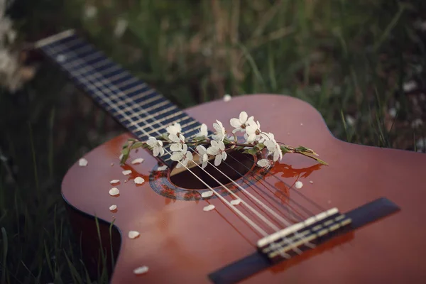 Guitarra Tumbada Sobre Hierba Concepto Canción Primavera Amor Imagen Tonificación —  Fotos de Stock