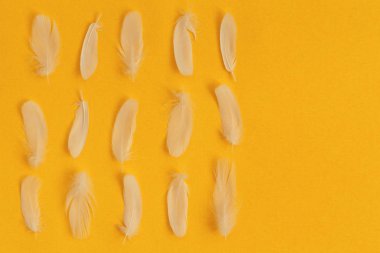 Sarı arka planda yumuşak beyaz tüy desenli arkaplan.