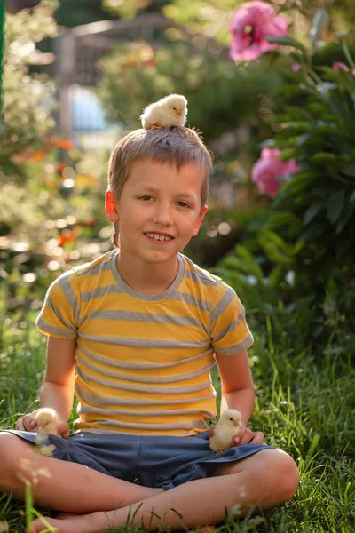 夏天的一天 孩子手里拿着一只鸡 复活节概念 — 图库照片