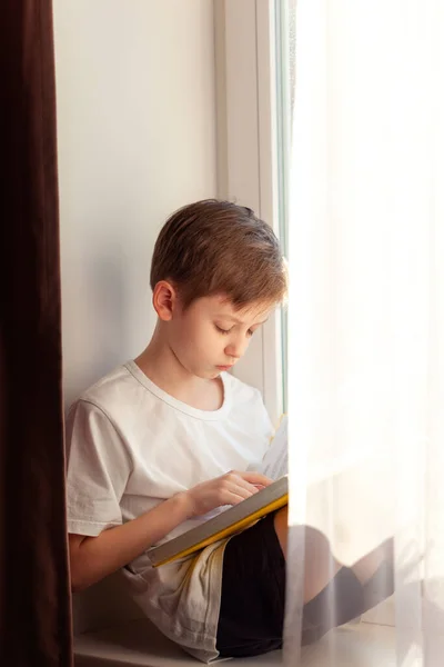 Симпатичный Маленький Мальчик Читает Книжку Сидя Дома Окне Дистанционное Обучение — стоковое фото