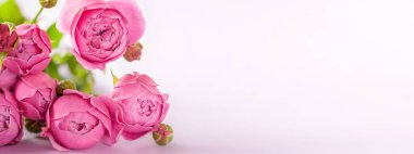 Arka planda bir demet pembe gül buketi, metin için kopyalama alanı. Anneler Günü için pankart
