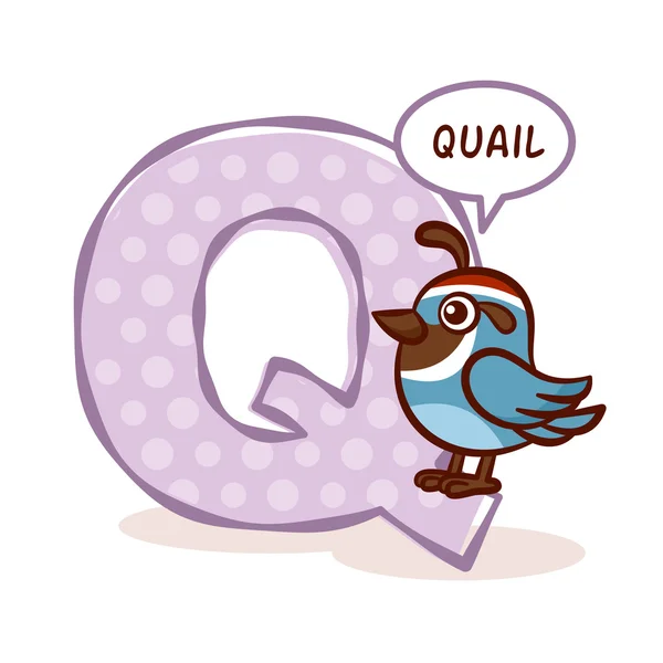 ABC Zoo abeceda písmeno Q křepelka — Stockový vektor