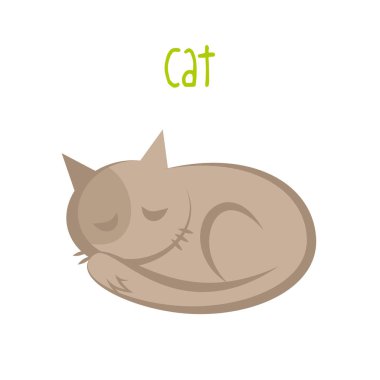 beyaz arkaplandaki kedi