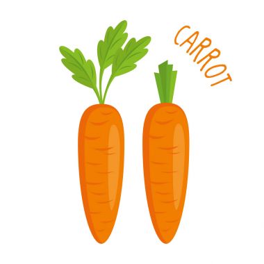 Carrot vector illustration isolated clipart