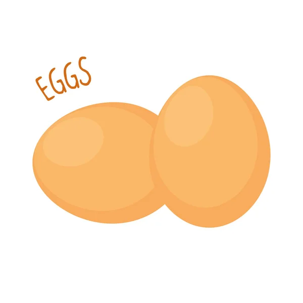 Αυγά διανυσματικά εικονογράφηση απομονωμένες — Διανυσματικό Αρχείο