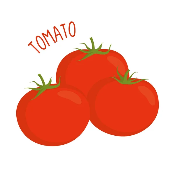 Tomaten Vektor Illustration isoliert — Stockvektor