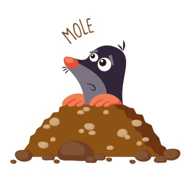 Mole vector illustration clipart