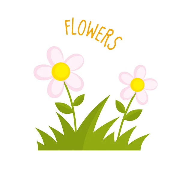 Flowers vector illustration — Stock Vector