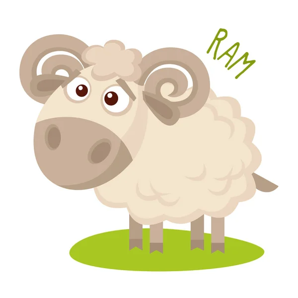 Ram Vector ilustración aislada — Archivo Imágenes Vectoriales