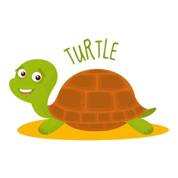 Tortuga Vector ilustración aislada — Archivo Imágenes Vectoriales