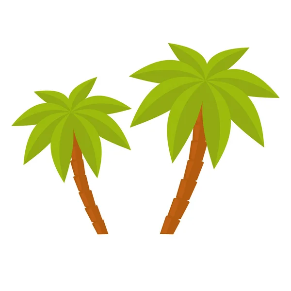 Two palm trees. Vector illustration — Stock Vector