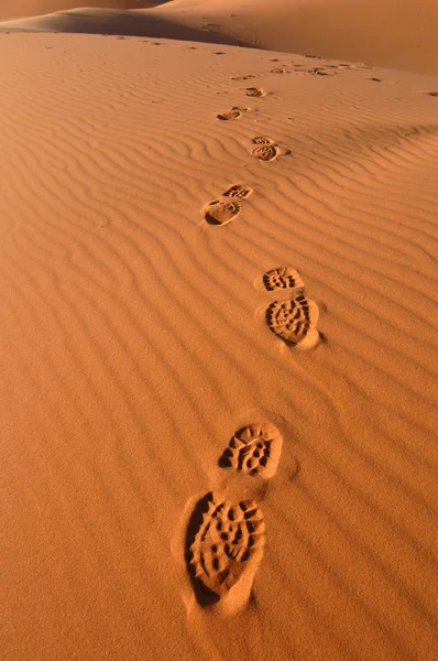 Le orme nel deserto del Sahara — Foto Stock