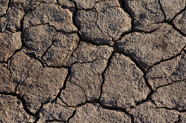 Cracked Dried Earth — Stock Photo, Image