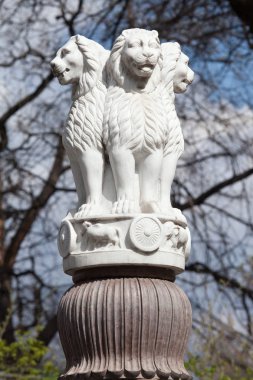 Ashoka gelen Sarnath şartını başkenti aslan.
