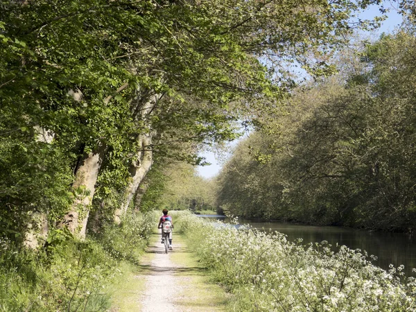 Cyclists in canal du midi near saint Martin Lalande — Stock Photo, Image