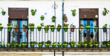 balkon withgreen ubeda tencerelerde