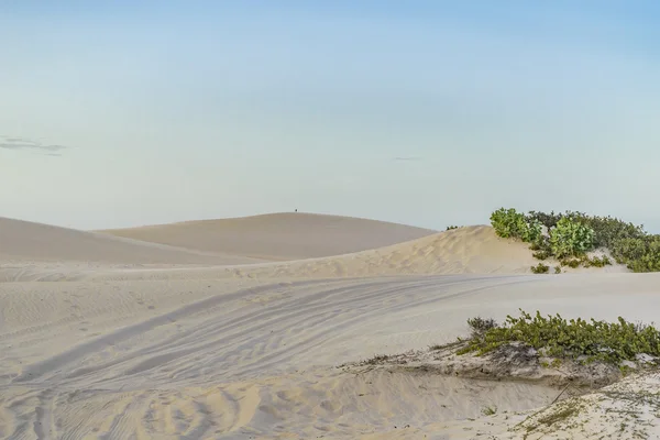 杰里科科拉国家公园的沙丘 — 图库照片