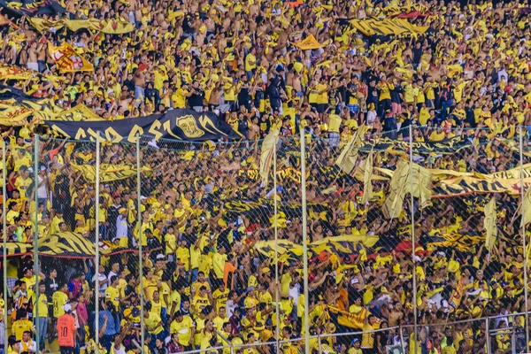 Aficionados a la tribuna abarrotada de Barcelona Guayaquil — Foto de Stock