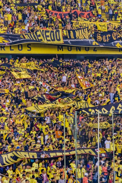 Gedrängte Tribüne der Barcelona-Guayaquil-Fans — Stockfoto