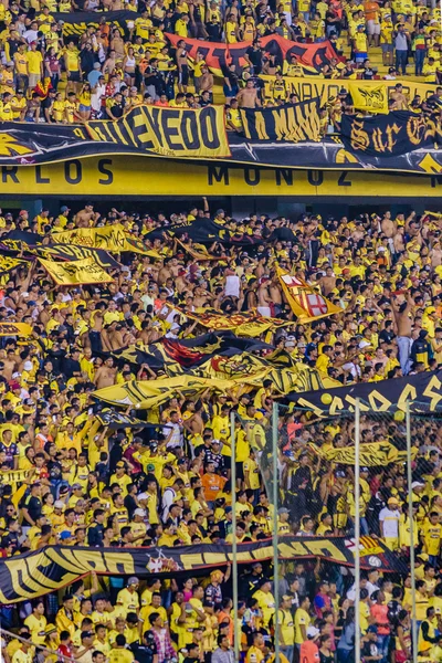 Crowded Grandstand of Barcelona Guayaquil Fans — Stock Photo, Image