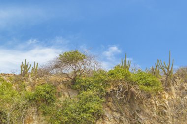 Jericoacoara manzara Brezilya