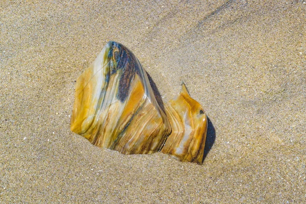 Pedra colorida na praia — Fotografia de Stock