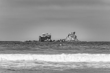 Kayalık Adası'nda Pasifik Okyanusu Santa Elena Ecuador