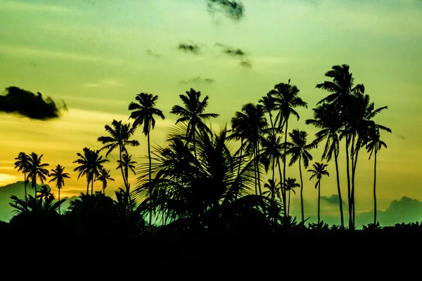 Cena do Pôr-do-Sol Tropical Portho Gallinhas Brasil — Fotografia de Stock