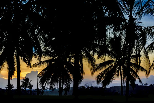 Tropical Sunset Scene Portho Gallinhas Brazil — Stock Photo, Image