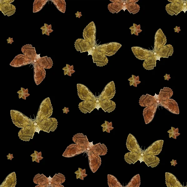 Moth motiv sömlösa mönsterdesign — Stockfoto