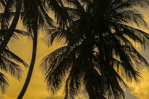 Tropische zonsondergang scène Pipa-Brazilië — Stockfoto